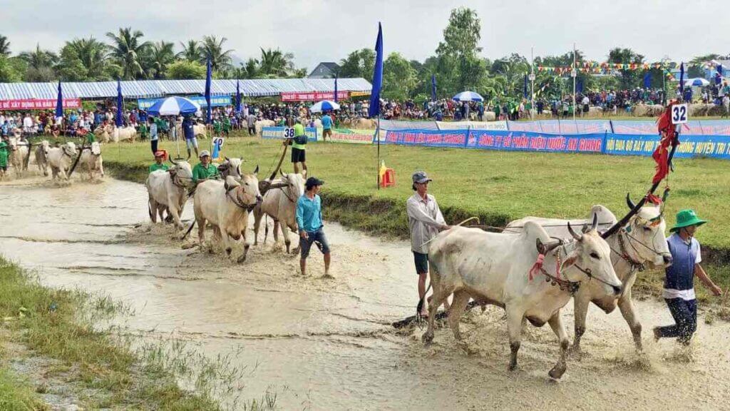 Các cuộc đua diễn ra trong tiếng hò reo, phấn khích và những tràng pháo tay vang dội