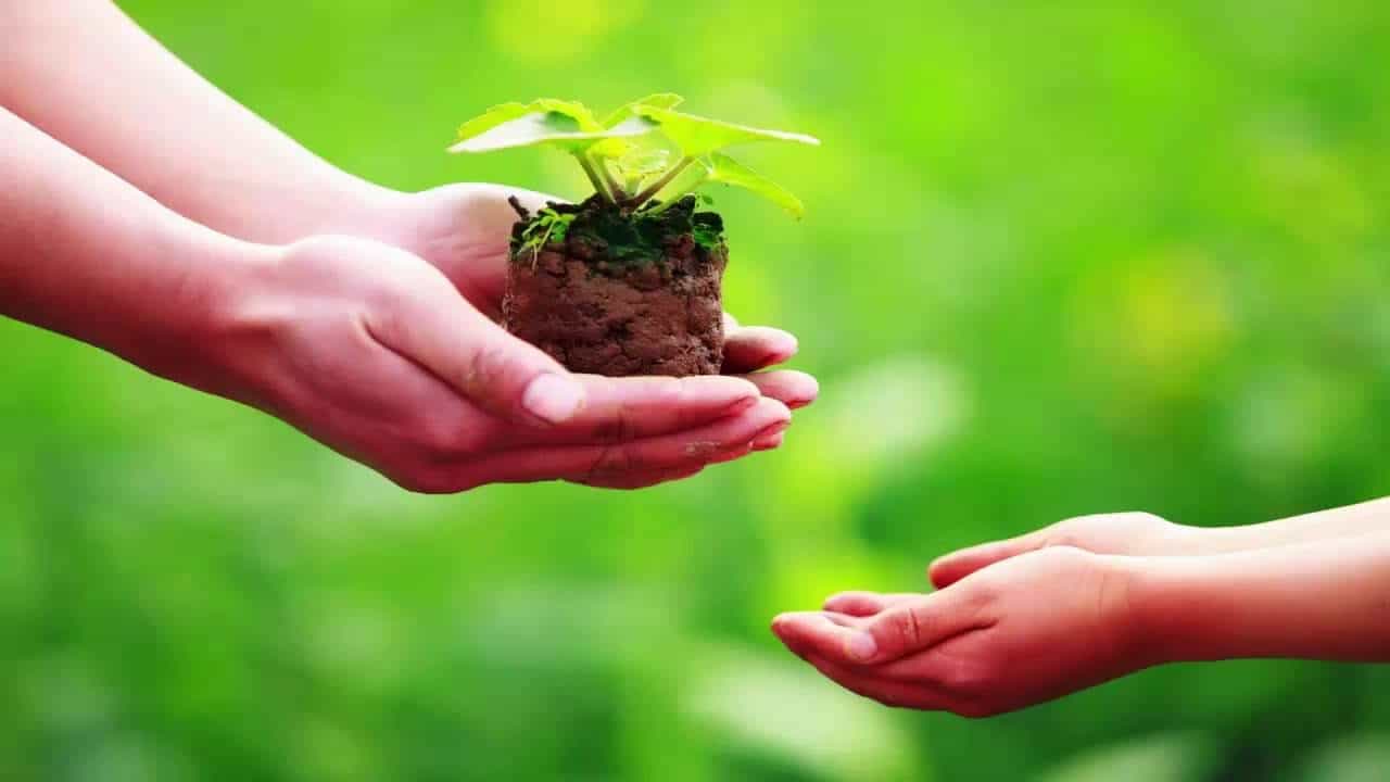 Lễ Vu Lan Báo Hiếu Nên Làm Gì Để Trọn Vẹn Và Ý Nghĩa? Giúp đỡ người khác luôn mang lại hạnh phúc