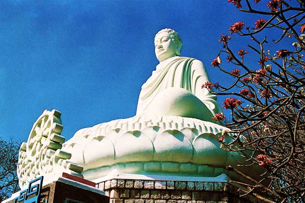 Lời Phật Dạy Về Lòng Biết Ơn: Trân Trọng Những Gì Mình Đang Sở Hữu Sẽ Thu Hút Thêm Nhiều Hơn | Cửa Hàng Mỹ Keo 5