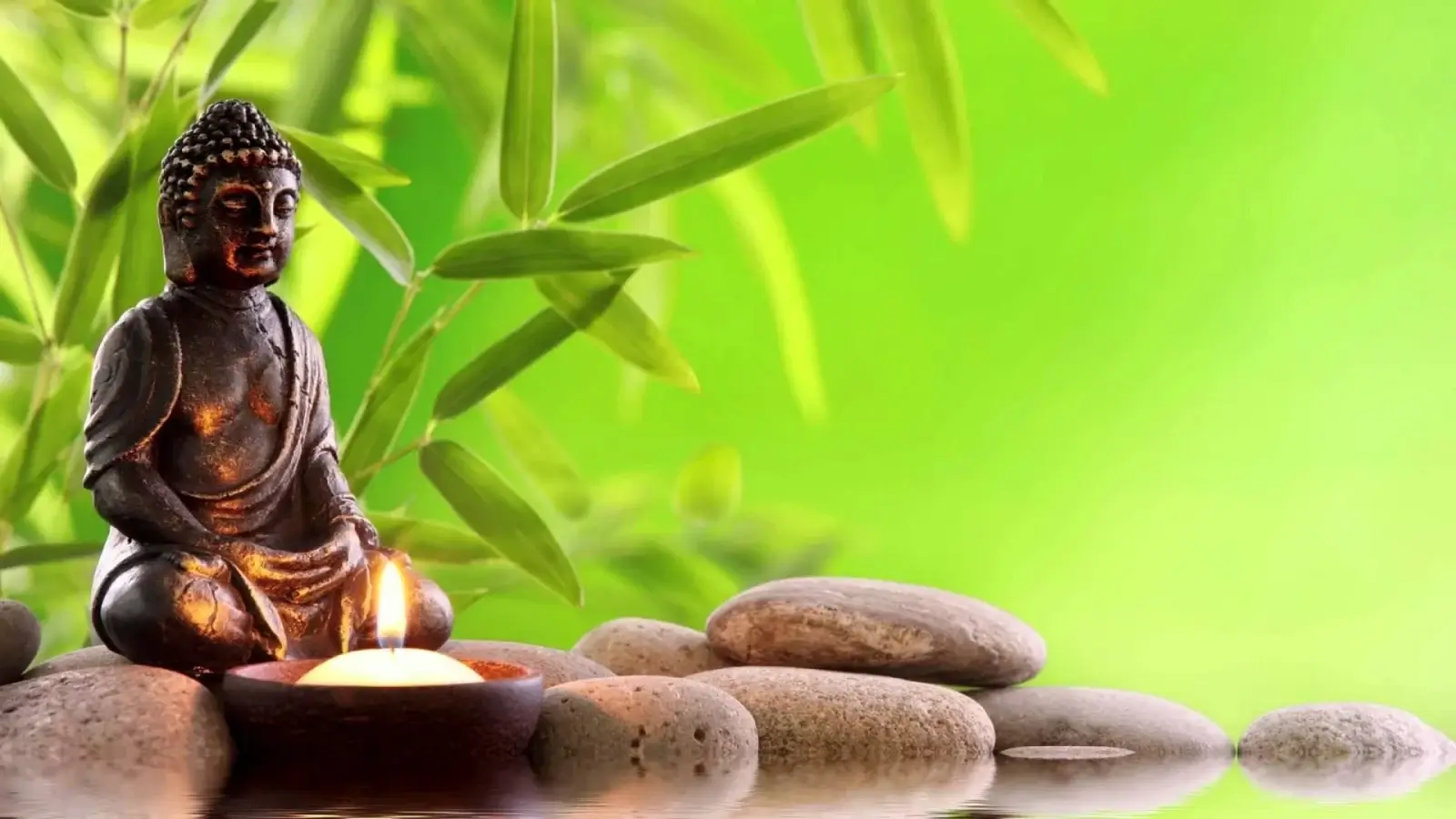 Ngẫm Về 100+ Lời Phật Dạy Vê Cuộc Sống: Bí Quyết Để Sống Một Cuộc Đời An Vui | Cửa Hàng Mỹ Keo