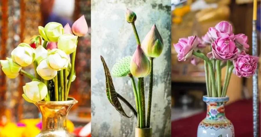 Những Loại Hoa Nên Dâng Cúng Rằm Tháng 7 Để Rước Tài Lộc | Cửa hàng Mỹ Keo 9