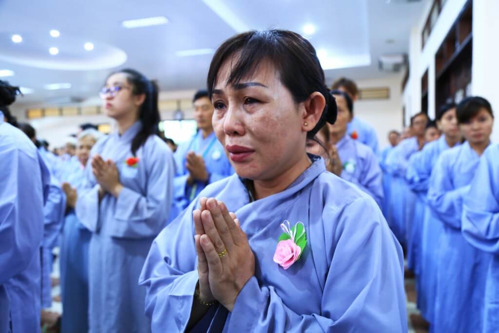 Hoa hồng nhạt thường biểu trưng cho sự nhẹ nhàng, tinh tế và lòng từ bi