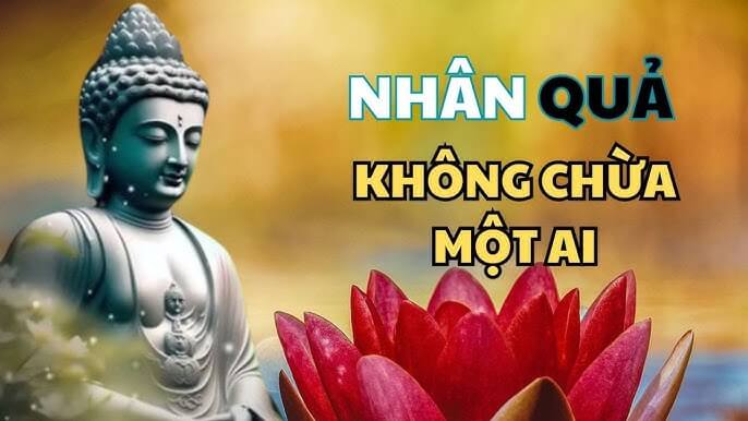 Luật nhân quả không chừa một ai