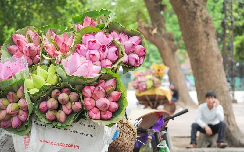 Hoa sen còn mang ý nghĩa về sự thịnh vượng và may mắn, giúp gia đình đón nhận tài lộc và phúc khí